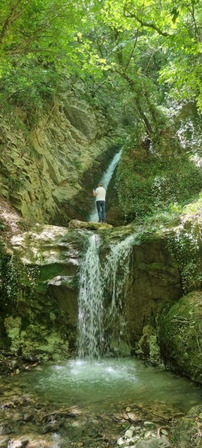 Ca' Del Tartufaio Villa Castelmauro Kültér fotó