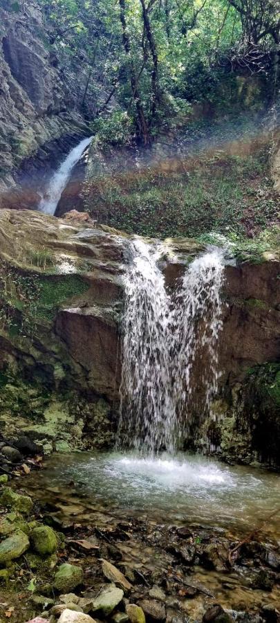 Ca' Del Tartufaio Villa Castelmauro Kültér fotó